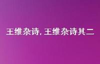 王维杂诗其二【精品文案100句】