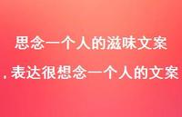 表达很想念一个人的文案(100句)