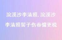 浣溪沙李清照髻子伤春慵更梳【100句文案精选】