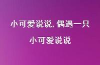 偶遇一只小可爱说说【100句文案】 偶遇一只小可爱说说【100句文案】