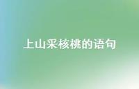 上山采核桃的语句(精选50句) 上山采核桃的语句(精选50句)