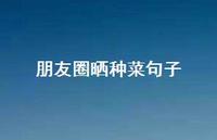 朋友圈晒种菜句子【100句精选短句合集】