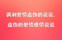 虚伪的爱情感情说说(100句)