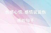 感情说说伤感的句子【100句文案精选】