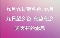 九月九日望乡台 他席他乡送客杯的意思【精品文案100句】