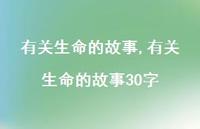 有关生命的故事30字【精品文案100句】