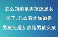 怎么看才知道是男孩还是女孩是男孩女孩(100句)