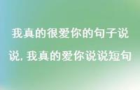 我真的爱你说说短句(100句) 我真的爱你说说短句(100句)