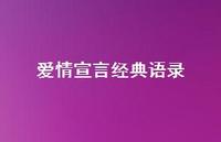 爱情宣言经典语录38句汇总