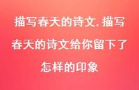 描写春天的诗文给你留下了怎样的印象【精品文案100句】