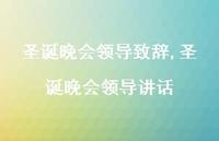 圣诞晚会领导讲话【精品文案77句】