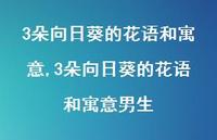 3朵向日葵的花语和寓意男生【100句文案】