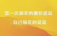 自己插花的说说(100句)