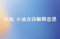 小池古诗解释意思【100句文案精选】