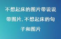不想起床的句子和图片(100句) 不想起床的句子和图片(100句)