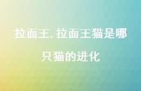 拉面王猫是哪只猫的进化【精品文案100句】