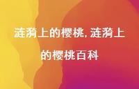 涟漪上的樱桃百科【100句文案精选】 涟漪上的樱桃百科【100句文案精选】
