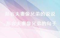 形容夫妻像兄弟的句子(100句)