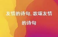 歌颂友情的诗句【100句文案精选】