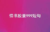 情书胶囊999短句50句汇总