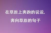 奔向草原的句子(100句)