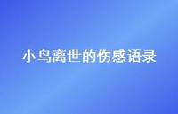 小鸟离世的伤感语录【100句精选短句合集】