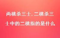 二桃杀三士中的二桃指的是什么【100句文案精选】