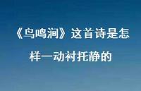 《鸟鸣涧》这首诗是怎样一动衬托静的(精选59句) 《鸟鸣涧》这首诗是怎样一动衬托静的(精选59句)
