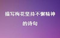 描写梅花坚持不懈精神的诗句(精选72句)