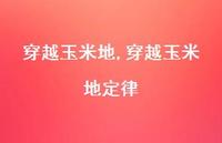 穿越玉米地定律【精品文案100句】 穿越玉米地定律【精品文案100句】