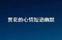 赏花的心情短语幽默74句汇总