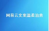 网易云文案温柔治好48句汇总