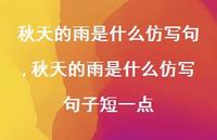 秋天的雨是什么仿写句子短一点【100句文案精选】