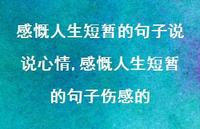 感慨人生短暂的句子伤感的(100句)