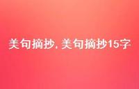 美句摘抄15字【100句文案精选】