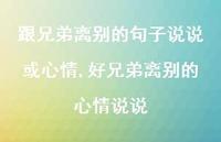 好兄弟离别的心情说说(100句) 好兄弟离别的心情说说(100句)