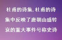 杜甫的诗集中反映了唐朝由盛转衰的重大事件号称史诗【100句文案精选】 杜甫的诗集中反映了唐朝由盛转衰的重大事件号称史诗【100句文案精选】