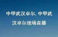 中甲武汉卓尔现场直播(100句)