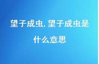 望子成虫是什么意思【100句文案精选】 望子成虫是什么意思【100句文案精选】