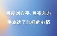 月夜刘方平表达了怎样的心情【精品文案100句】 月夜刘方平表达了怎样的心情【精品文案100句】