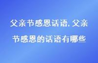 父亲节感恩的话语有哪些【100句文案精选】 父亲节感恩的话语有哪些【100句文案精选】