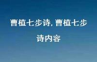 曹植七步诗内容【精品文案100句】 曹植七步诗内容【精品文案100句】