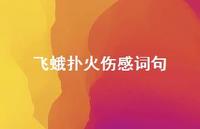 飞蛾扑火伤感词句(精选47句) 飞蛾扑火伤感词句(精选47句)