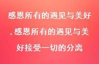 感恩所有的遇见与美好接受一切的分离【精品文案100句】
