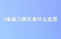 5朵康乃馨代表什么意思(精选40句) 5朵康乃馨代表什么意思(精选40句)
