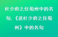 《送杜少府之任蜀州》中的名句【100句文案精选】 《送杜少府之任蜀州》中的名句【100句文案精选】