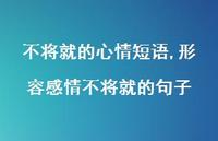 形容感情不将就的句子(100句) 形容感情不将就的句子(100句)