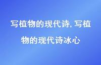 写植物的现代诗冰心【精品文案100句】 写植物的现代诗冰心【精品文案100句】