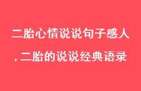 二胎的说说经典语录(100句)