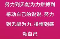 努力到无能为力,拼博到感动自己(100句) 努力到无能为力,拼博到感动自己(100句)